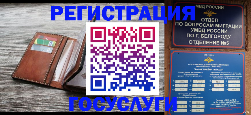временная регистрация гарантия в Торопеце